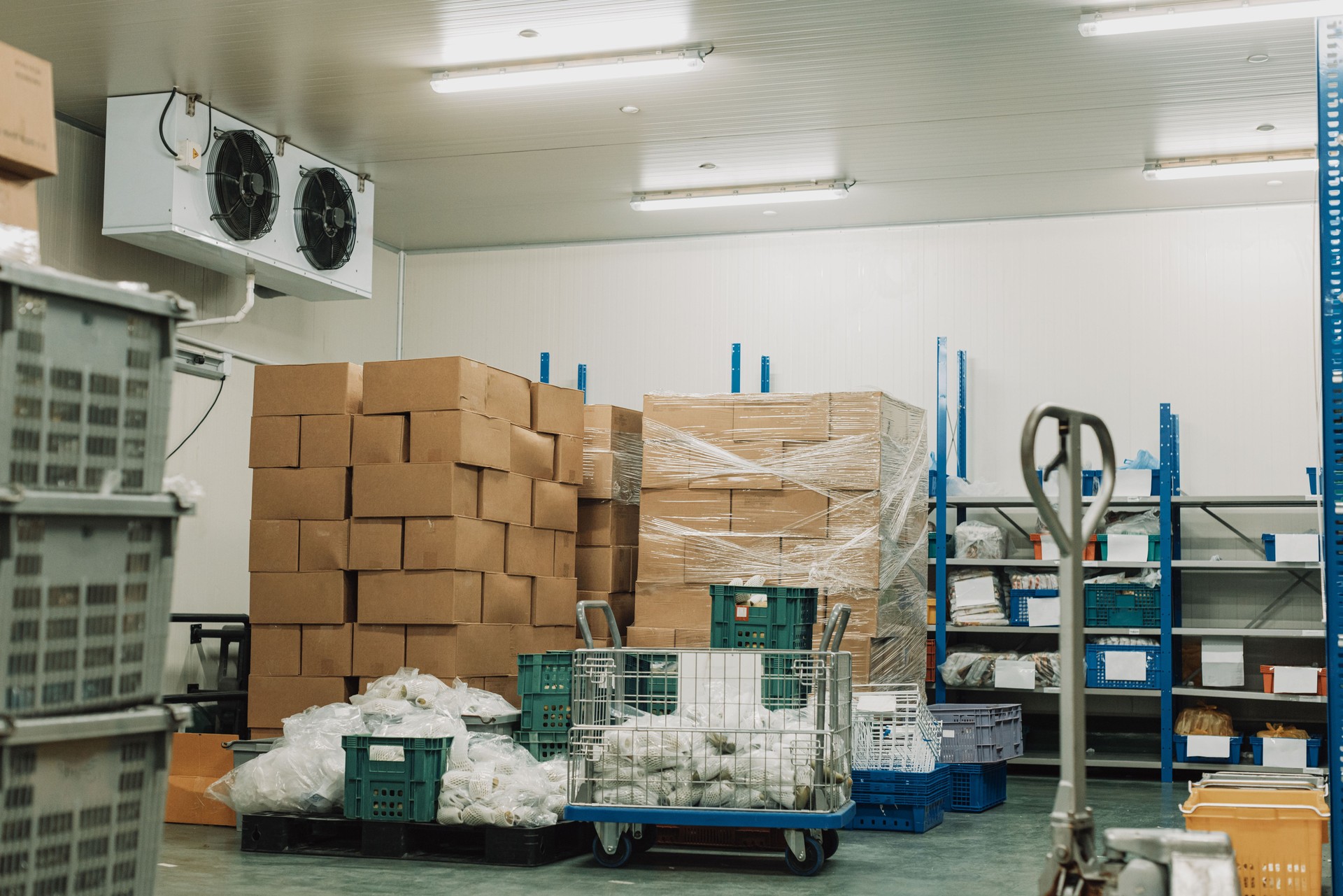 Inside cold storage warehouse, empty.