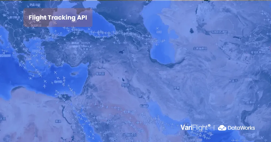 VariFlight DataWorks Flight Tracking API