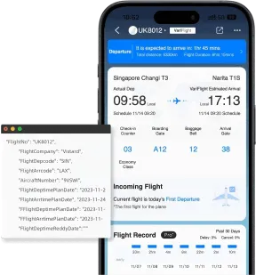 flight status data api demo in app